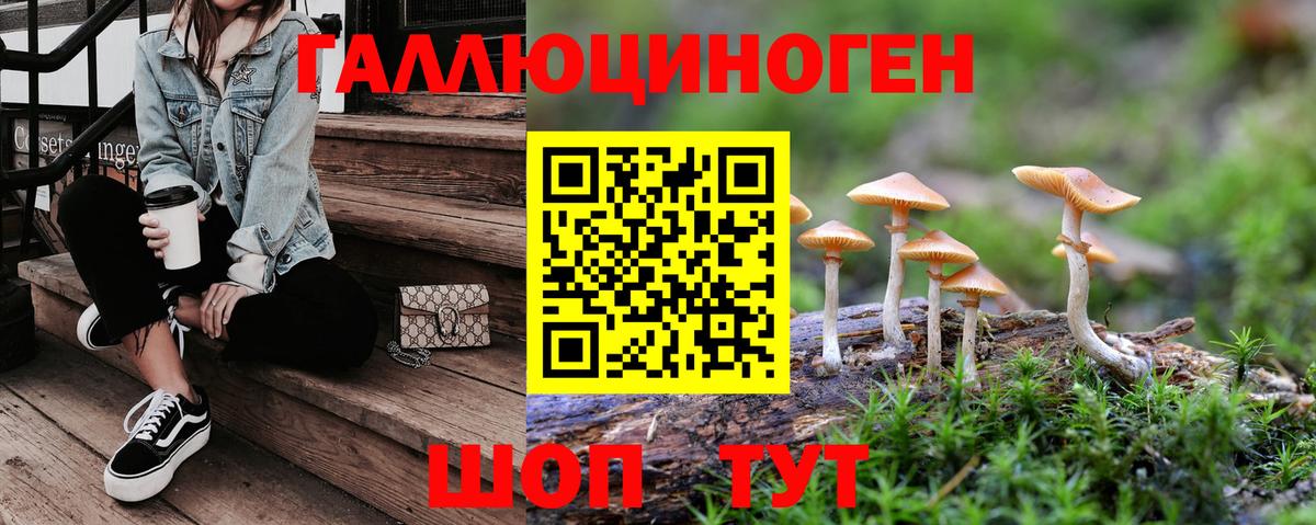 купить   Вход с VPN  Омск  Псилоцибиновые грибы MAGIC MUSHROOMS  Галлюциногенные грибы мухоморы 