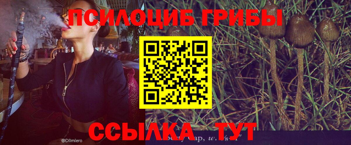 Псилоцибиновые грибы GOLDEN TEACHER Омск