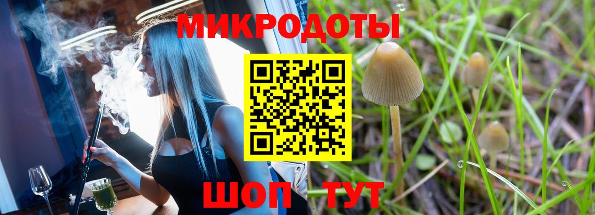 Псилоцибиновые грибы мицелий  Галлюциногенные грибы MAGIC MUSHROOMS  Омск 
